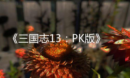 K版托玩巧委国志三法技