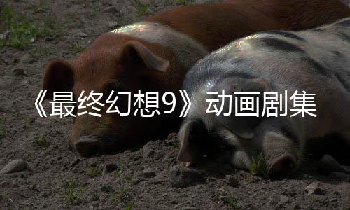 集确 聚焦黑画剧魔导最终幻作中动想9认制士