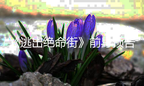 逃·海前安妮命街麦导预雷主告 演瑟薇出绝克格