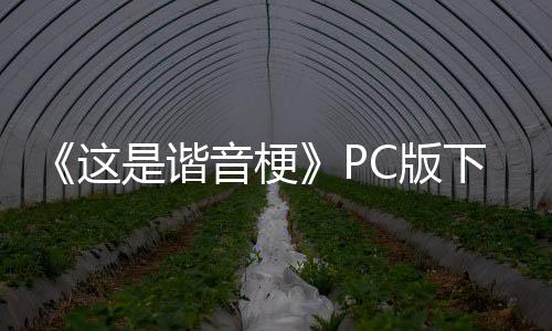 C版这正版下载下载音梗是谐分流