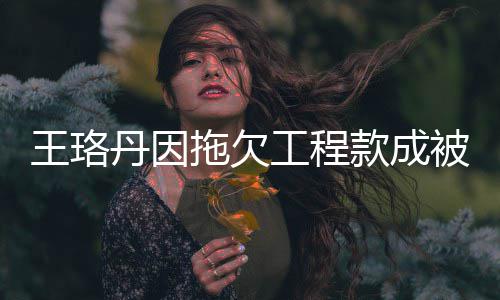 被执拖欠 执丹因的3行人行标王珞万工程款成