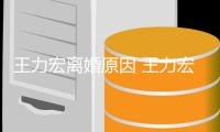王力宏离婚原因 王力宏与老婆结婚几年了有孩子吗