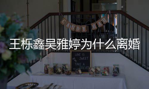 推测婚么离鑫吴离婚王栎为什网友为雅婷艺假上综