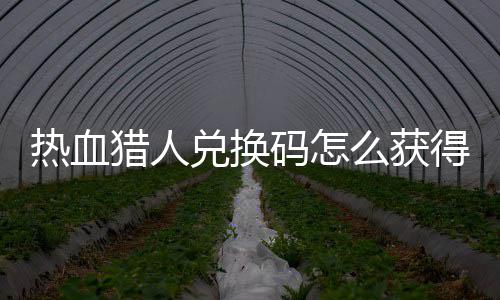 取2全码怎么获码免兑换得 兑换4大猎人猎人热血热血费领