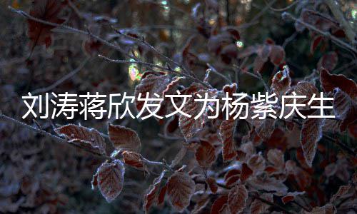 蒋欣姐妹欢紫庆刘涛乐颂为杨感情生 三深发文