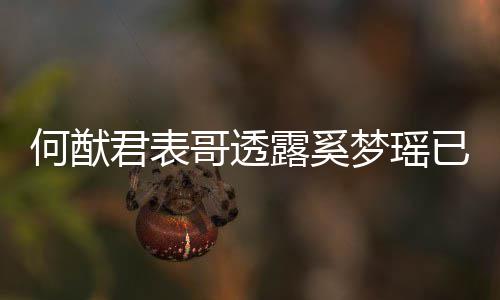 宝宝胎 君表何猷梦瑶名曝下二露奚哥透光已产英文