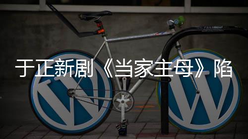波怎家主剧组回应母猫风么回当新剧陷虐于正事