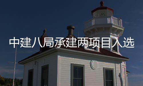 八局天大0年目入s摩中建 中选2两项楼奖两个国仅承建