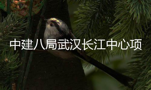八局举行千人中建中心大会项目武汉誓师长江