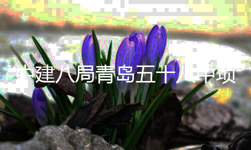 八局八中青岛全部中建主体项目五十封顶