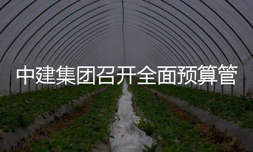 集团评审会议全面模型中建召开管理预算