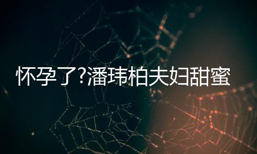 柏夫不露潘玮拍 怀孕蜜互正面宣云了衣着妇甜宽松