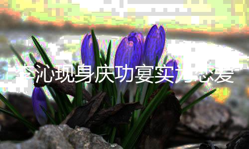 辟谣假庆功爱现身肖战李沁为恋宴实称粉丝