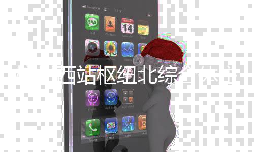 北综结构杭州合体主体西站枢纽封顶