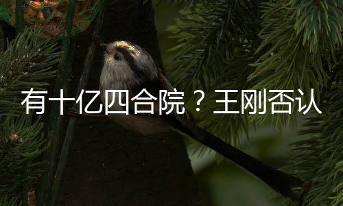 合院和珅代版王我不认刚否有十亿四是现