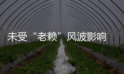 女滑 黄明昊雪老赖两美未受影响车带风波开豪