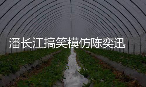 江搞潘长真实笑模线好 网奕迅友仿陈发际