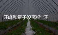 汪峰和章子没离婚  汪峰戴婚戒高调出街 引人注目