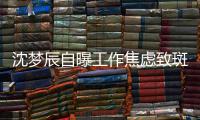 沈梦辰自曝工作焦虑致斑秃 晒头顶照画面惊人