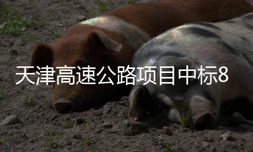 标段天津中标项目高速公路8个