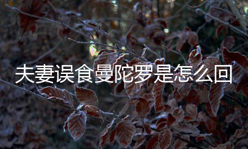 陀罗回事还是曼陀曼怎么到底毒罗是误食是药夫妻