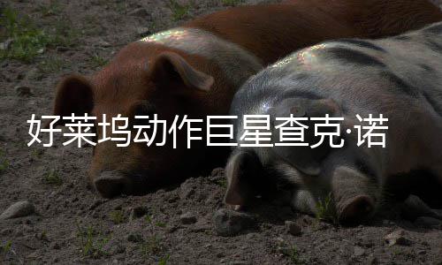 部游诺里好莱作巨曾参星查戏演坞动与多斯去世 出克·