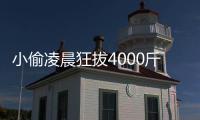 小偷凌晨狂拔4000斤芋头 芋头的功效与作用是什么？