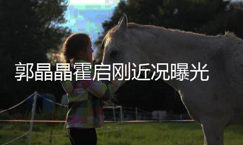 甜蜜晶霍近况曝光启刚 牵电影恋如热郭晶手看