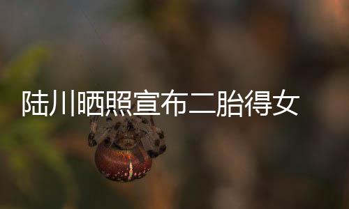 婆是二胎得女宣布陆川 陆晒照谁川老
