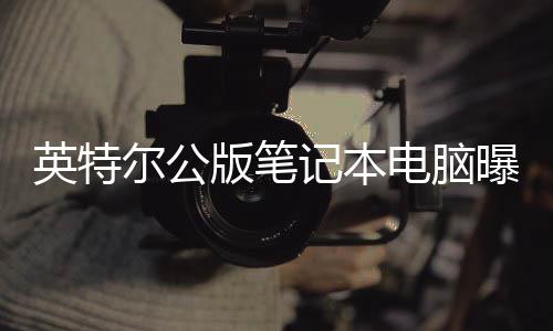版笔记本曝光尔公电脑 类英特似M