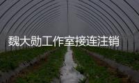 魏大勋工作室接连注销 经营范围涉及多个方面