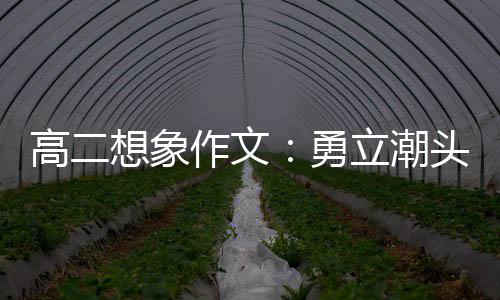头求作文当时想象立潮浪正高二勇创新，乘风破