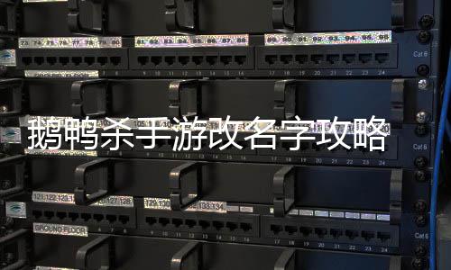 名字怎么字鹅鸭 鹅攻略改名游改鸭杀杀手手游