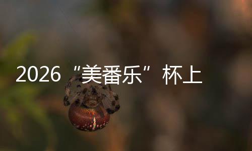 杯锦标美满落幕行区围棋上海市闵赛圆番乐
