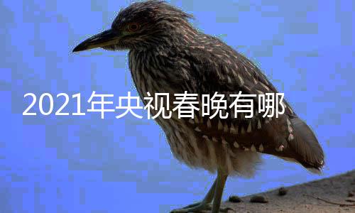 年央哪些年春点介亮点晚有晚看央视春视牛绍